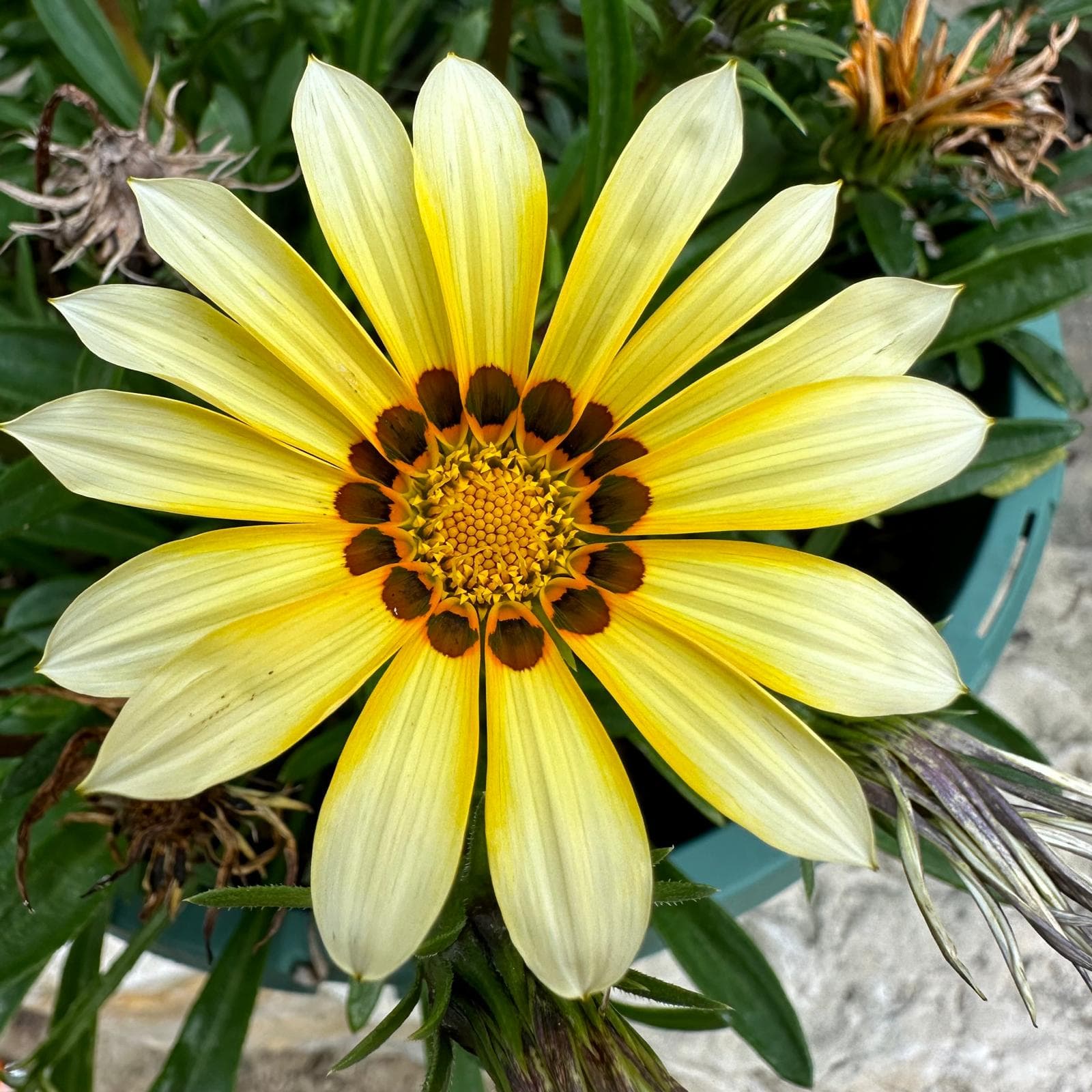 Environmental texture beside session structure